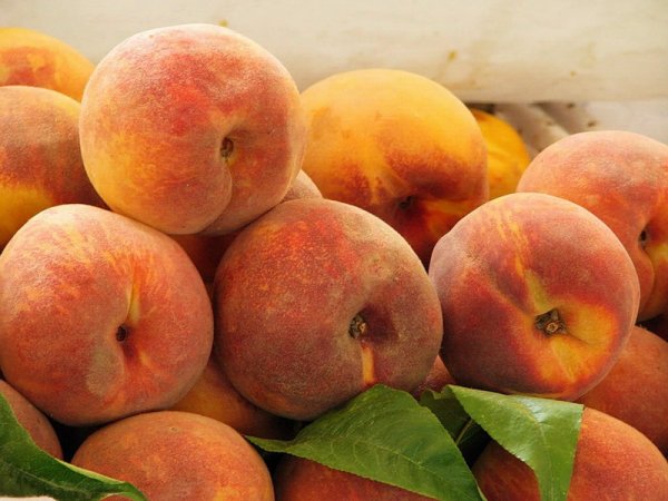Персики сохраняют женское здоровье и предотвращают рак груди. ФОТО
