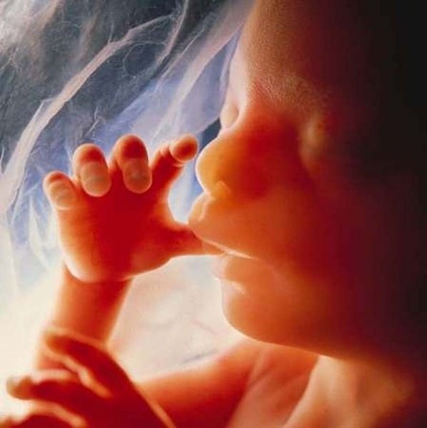 Поразительно: фотографии ребенка в утробе матери. ФОТО